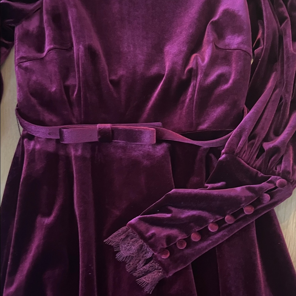 Gorgeous antonio melani Rich Burgundy Velvet Dress with Belt
